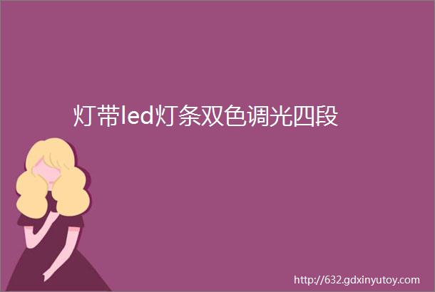 灯带led灯条双色调光四段