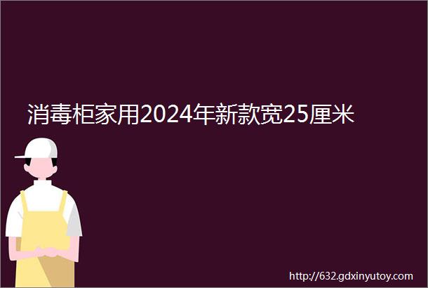 消毒柜家用2024年新款宽25厘米