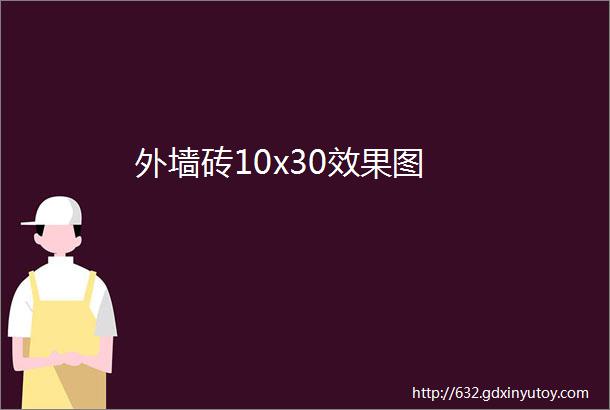 外墙砖10x30效果图